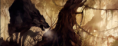 /album/galeria/a003-png/